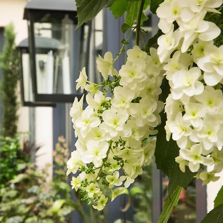 Hotel Madame - Saint-germain-des-pres 4*