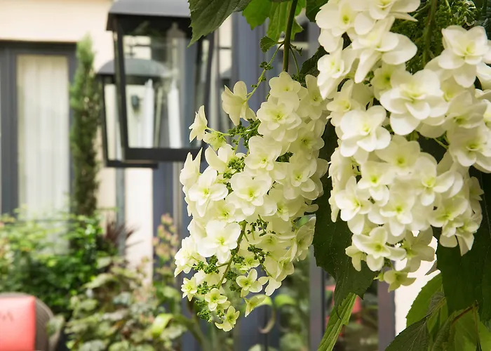 Hotel Madame - Saint-germain-des-pres 4*