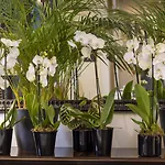 Hotell Madame - Saint-germain-des-pres Paris
