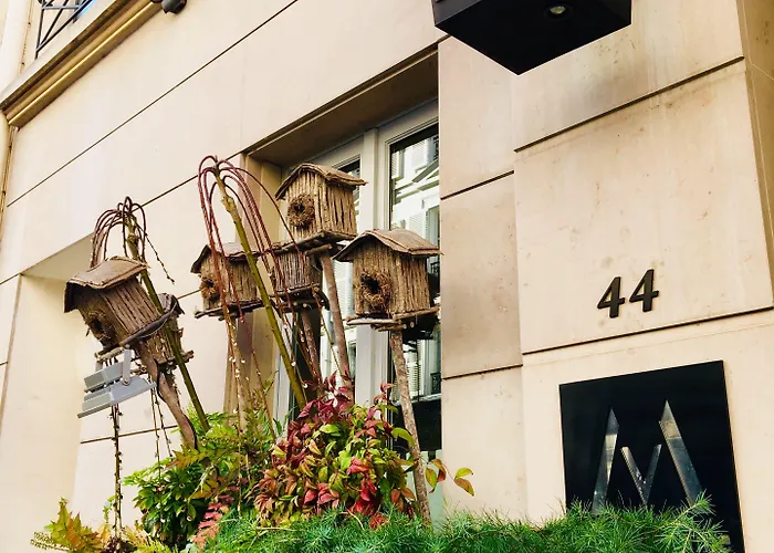 Madame - Saint-germain-des-pres 4*