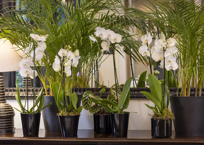 Hotel Madame - Saint-germain-des-pres Paris