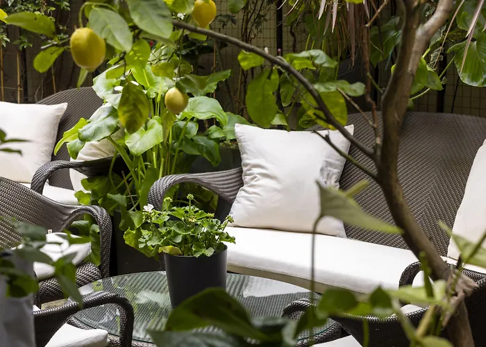 Madame - Saint-germain-des-pres Paris